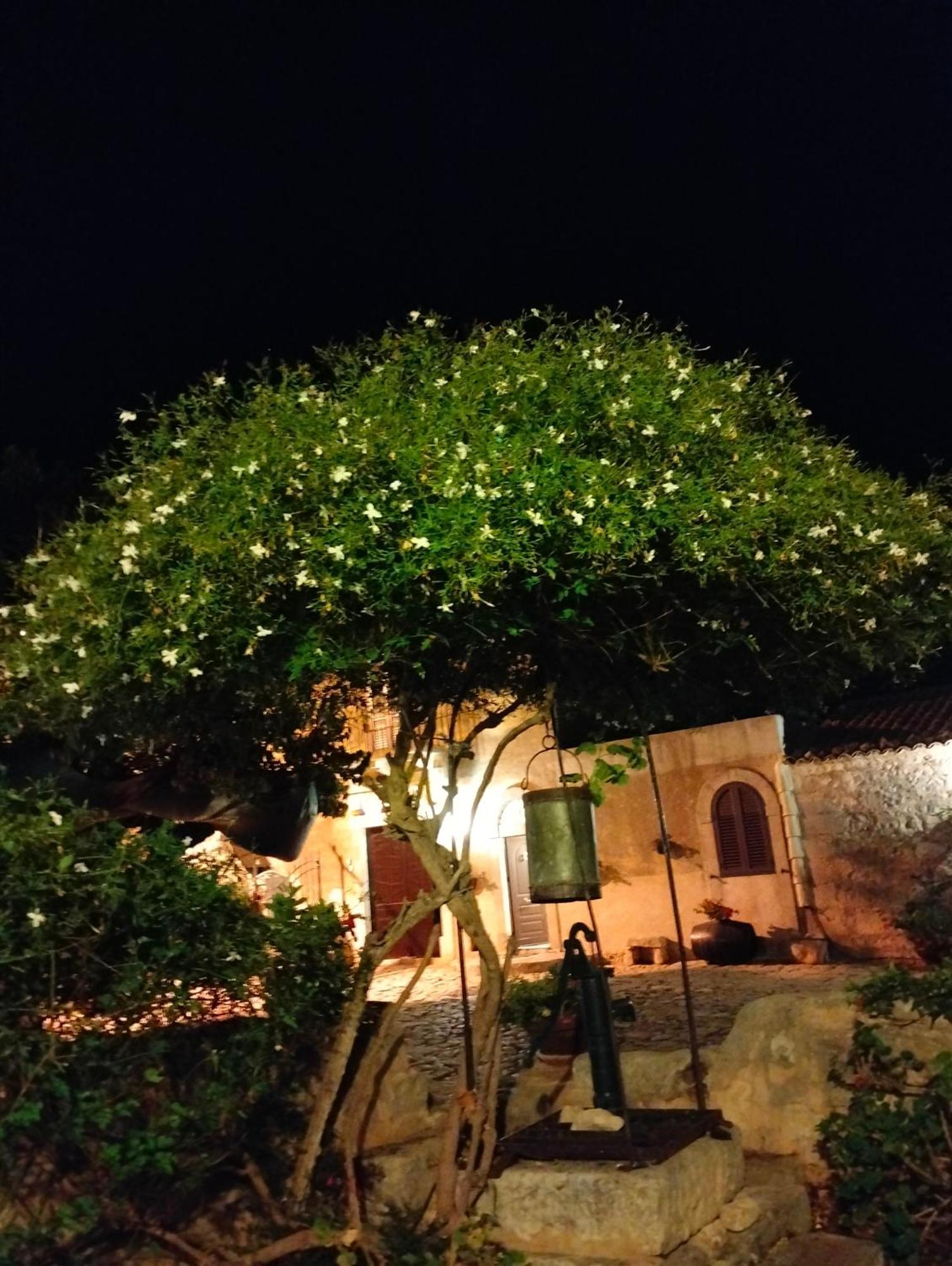 Vila I Dammusi Santa Croce Camerina Exteriér fotografie